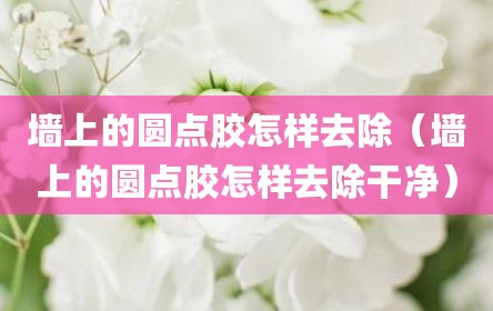 墙上的圆点胶怎样去除（墙上的圆点胶怎样去除干净）