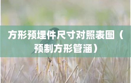 方形预埋件尺寸对照表图（预制方形管涵）