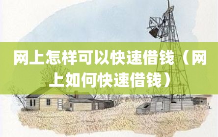 网上怎样可以快速借钱（网上如何快速借钱）