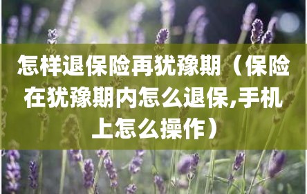 怎样退保险再犹豫期（保险在犹豫期内怎么退保,手机上怎么操作）
