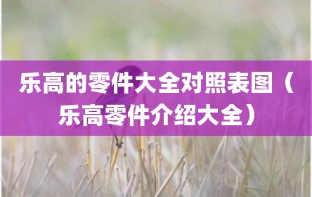 乐高的零件大全对照表图（乐高零件介绍大全）