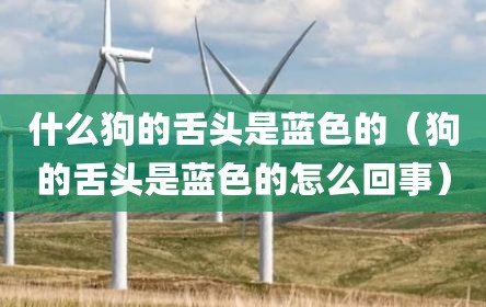 什么狗的舌头是蓝色的（狗的舌头是蓝色的怎么回事）