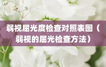 弱视屈光度检查对照表图（弱视的屈光检查方法）