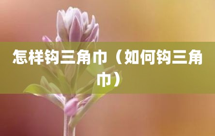 怎样钩三角巾（如何钩三角巾）