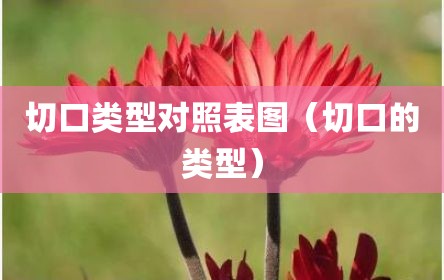 切口类型对照表图（切口的类型）
