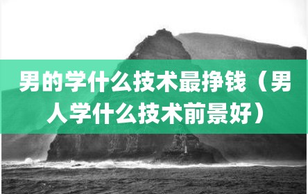 男的学什么技术最挣钱（男人学什么技术前景好）