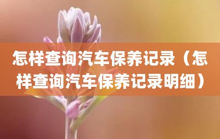 怎样查询汽车保养记录（怎样查询汽车保养记录明细）