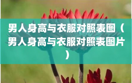 男人身高与衣服对照表图（男人身高与衣服对照表图片）