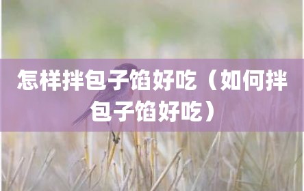 怎样拌包子馅好吃（如何拌包子馅好吃）