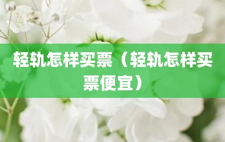 轻轨怎样买票（轻轨怎样买票便宜）