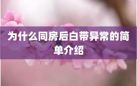 为什么同房后白带异常的简单介绍