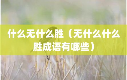 什么无什么胜（无什么什么胜成语有哪些）