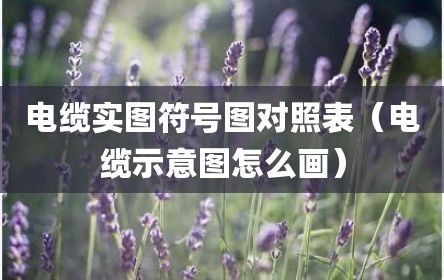 电缆实图符号图对照表（电缆示意图怎么画）