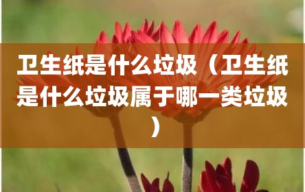 卫生纸是什么垃圾（卫生纸是什么垃圾属于哪一类垃圾）