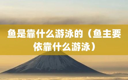 鱼是靠什么游泳的（鱼主要依靠什么游泳）