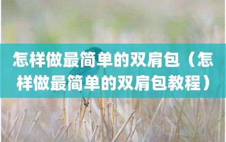 怎样做最简单的双肩包（怎样做最简单的双肩包教程）