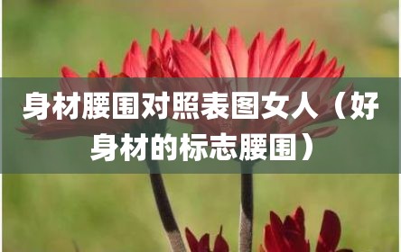 身材腰围对照表图女人（好身材的标志腰围）