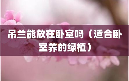 吊兰能放在卧室吗（适合卧室养的绿植）