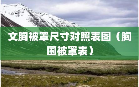 文胸被罩尺寸对照表图（胸围被罩表）
