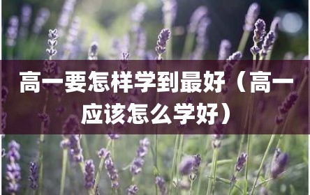 高一要怎样学到最好（高一应该怎么学好）