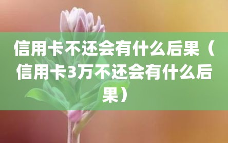 信用卡不还会有什么后果（信用卡3万不还会有什么后果）