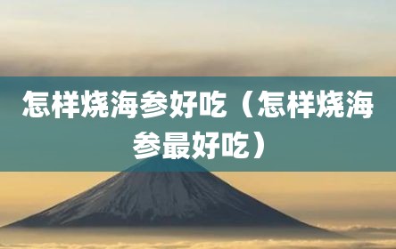 怎样烧海参好吃（怎样烧海参最好吃）