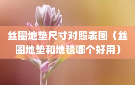 丝圈地垫尺寸对照表图（丝圈地垫和地毯哪个好用）