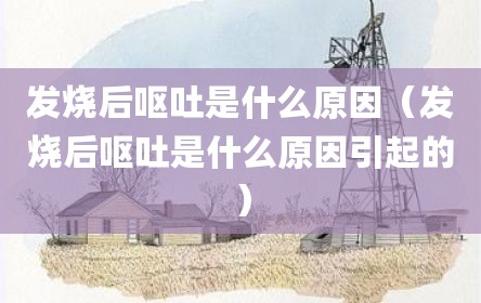 发烧后呕吐是什么原因（发烧后呕吐是什么原因引起的）