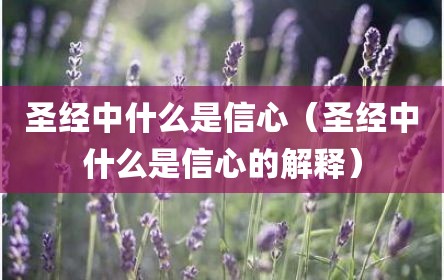 圣经中什么是信心（圣经中什么是信心的解释）