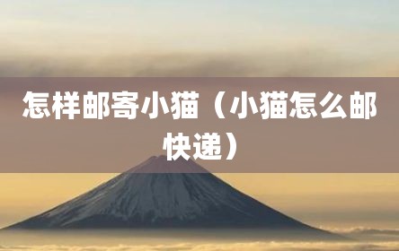 怎样邮寄小猫（小猫怎么邮快递）