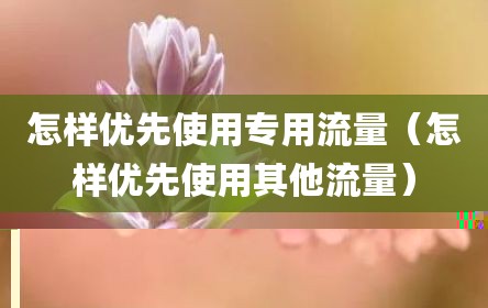 怎样优先使用专用流量（怎样优先使用其他流量）