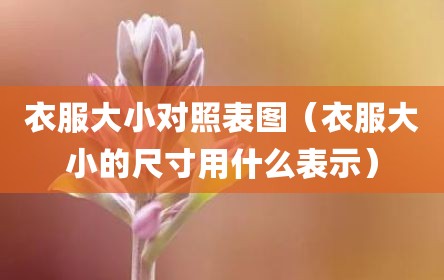 衣服大小对照表图（衣服大小的尺寸用什么表示）