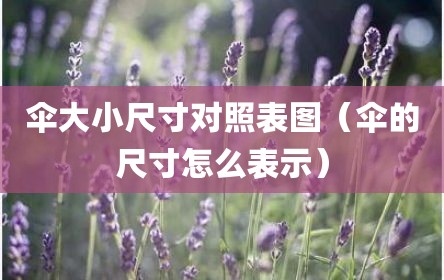 伞大小尺寸对照表图（伞的尺寸怎么表示）
