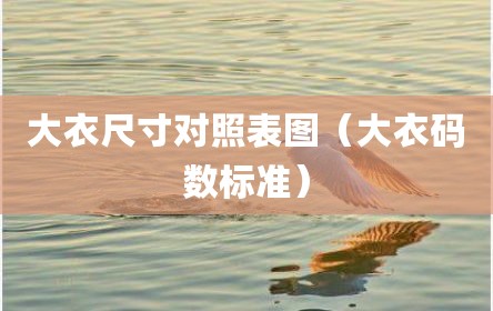 大衣尺寸对照表图（大衣码数标准）
