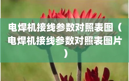 电焊机接线参数对照表图（电焊机接线参数对照表图片）