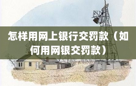 怎样用网上银行交罚款（如何用网银交罚款）