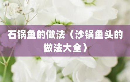 石锅鱼的做法（沙锅鱼头的做法大全）