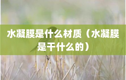 水凝膜是什么材质（水凝膜是干什么的）