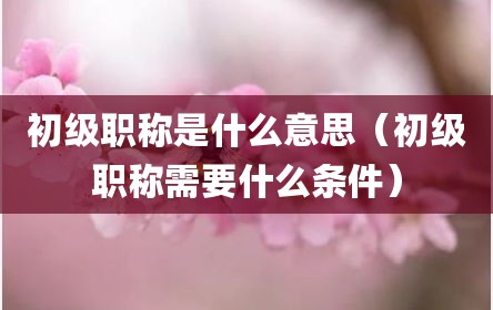 初级职称是什么意思（初级职称需要什么条件）