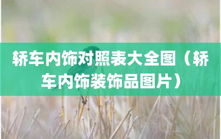 轿车内饰对照表大全图（轿车内饰装饰品图片）