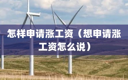 怎样申请涨工资（想申请涨工资怎么说）