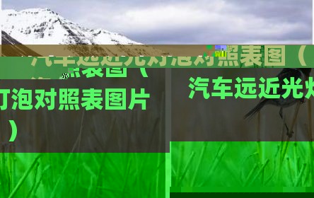 汽车远近光灯泡对照表图（汽车远近光灯泡对照表图片）