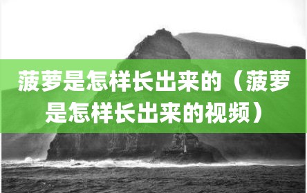 菠萝是怎样长出来的（菠萝是怎样长出来的视频）