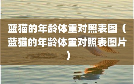 蓝猫的年龄体重对照表图（蓝猫的年龄体重对照表图片）