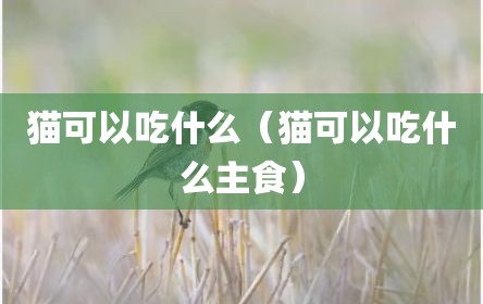 猫可以吃什么（猫可以吃什么主食）