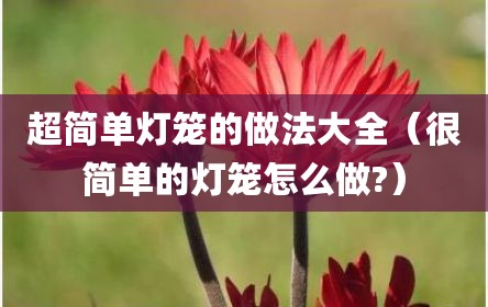 超简单灯笼的做法大全（很简单的灯笼怎么做?）
