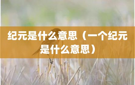 纪元是什么意思（一个纪元是什么意思）