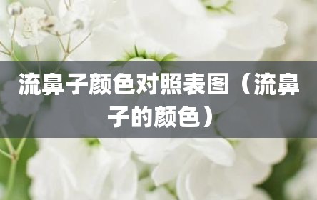 流鼻子颜色对照表图（流鼻子的颜色）