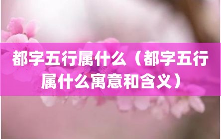 都字五行属什么（都字五行属什么寓意和含义）