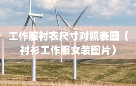 工作服衬衣尺寸对照表图（衬衫工作服女装图片）
